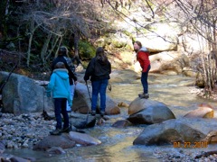 Kids in the river on rocks at shady creek